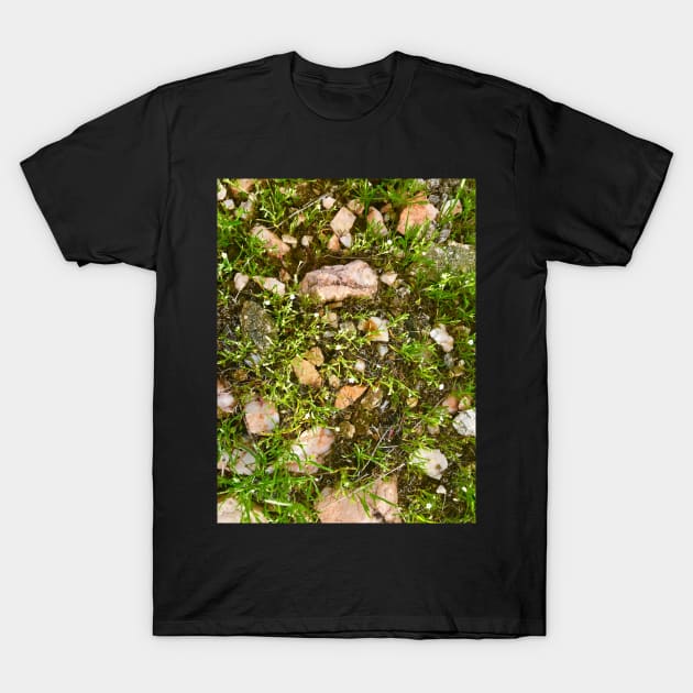 Nature's Intricate Ground Landscape T-Shirt by egcreations